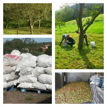 Vakantiehuis Cerezal 2 *